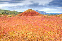 Painted Hills 1